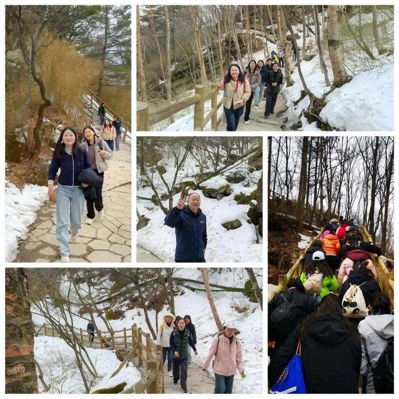 1742194184324485.jpg 640_wx_fmt=other&from=appmsg&wxfrom=5&wx_lazy=1&wx_co=1&tp=webp (1).jpg